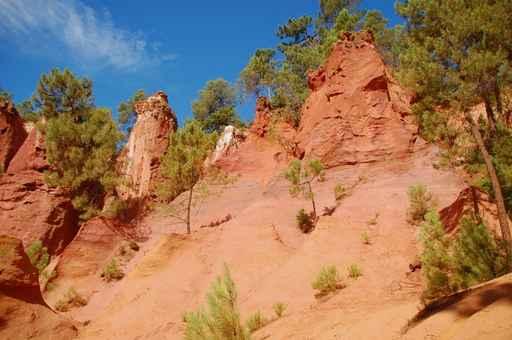 Roussillon Wall Decal