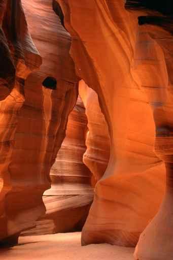 Canyon Cave Wall Decal