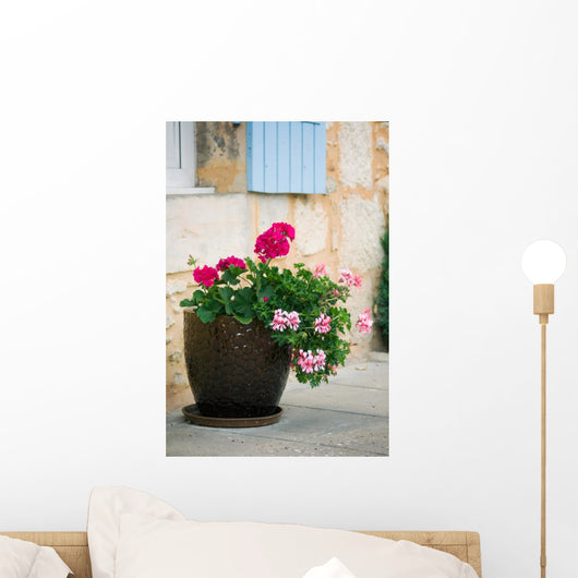 Geraniums