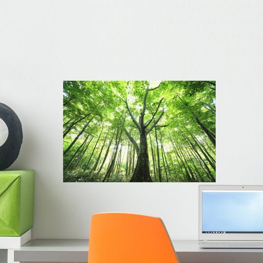 Green Leaves
