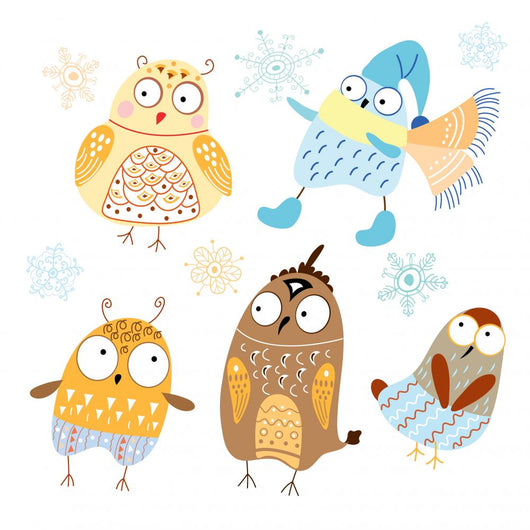 Funny Owls