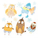 Funny Owls