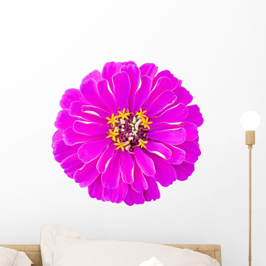 Zinnia Wall Decal
