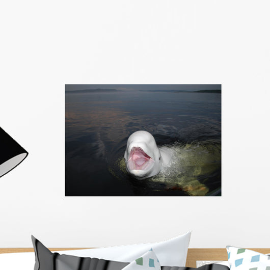 Talkative Beluga Whale Wall Decal