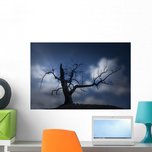 Silhouette of Bare Tree Wall Mural