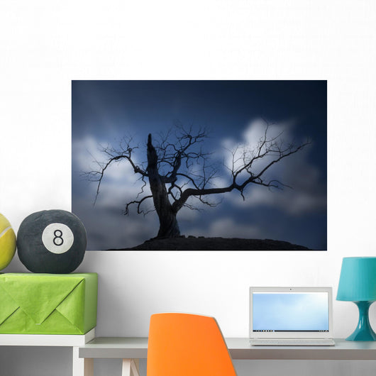 Silhouette of Bare Tree Wall Mural