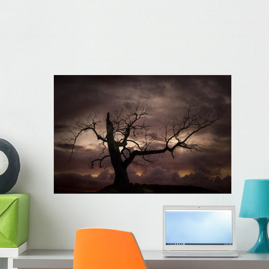 Silhouette of bare tree against sunset Wall Mural