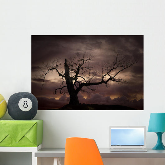 Silhouette of bare tree against sunset Wall Mural