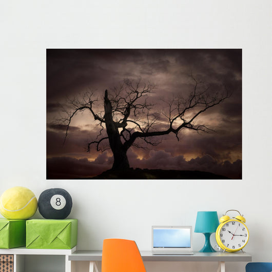 Silhouette of bare tree against sunset Wall Mural