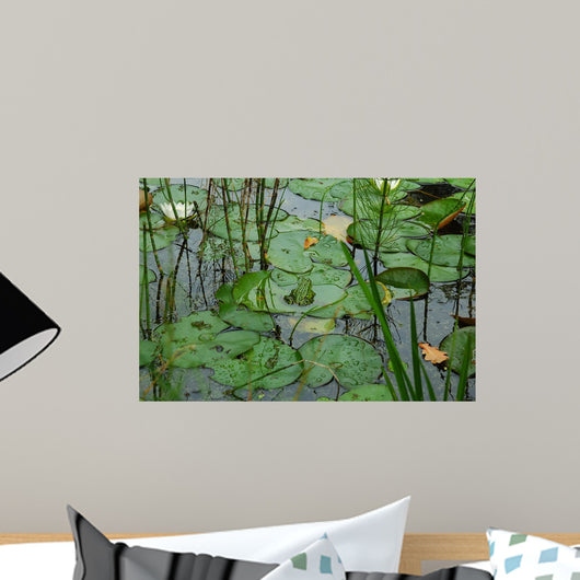 Little Frog Sitting Leaves Wall Decal