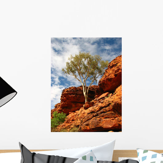 Outback Australia