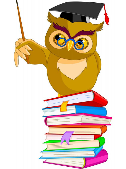 Wise Teacher Owl Wall Decal