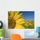 Sunflower Fields Wall Mural