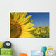 Sunflower Fields Wall Mural
