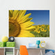 Sunflower Fields Wall Mural