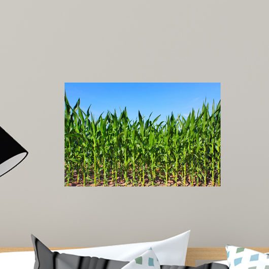 Green Maize Field Wall Mural