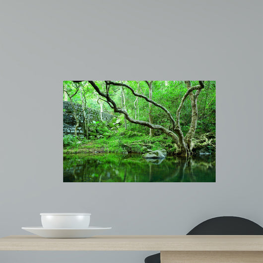 forest Wall Mural
