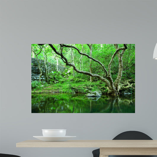 forest Wall Mural