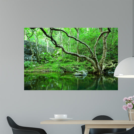 forest Wall Mural