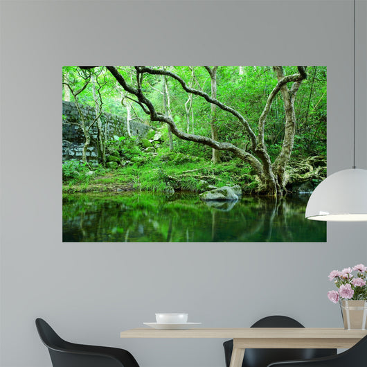 forest Wall Mural