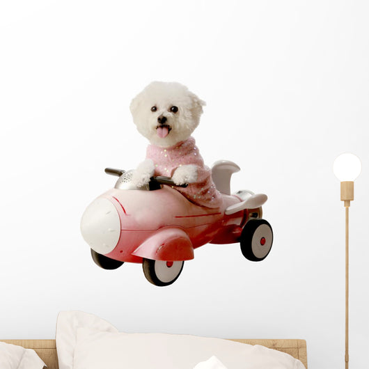 Fifi Bichon Frise Loves Wall Decal