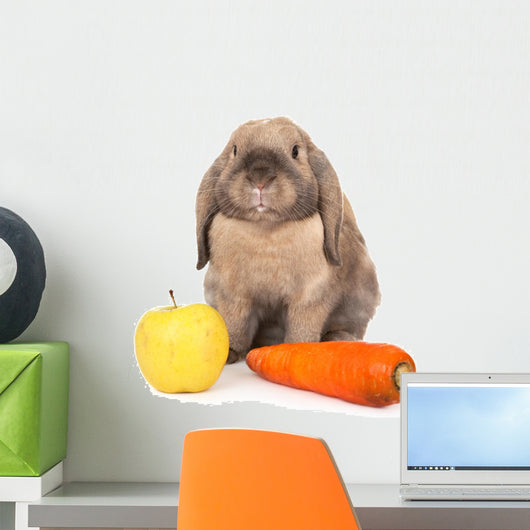 Dwarf Rabbit with Carrots Wall Mural