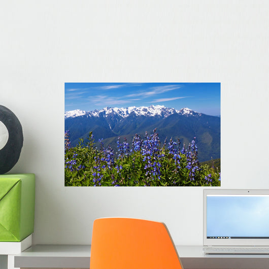 Hurricane Ridge Wall Mural