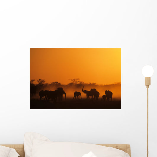 elefanten, namibia Wall Mural