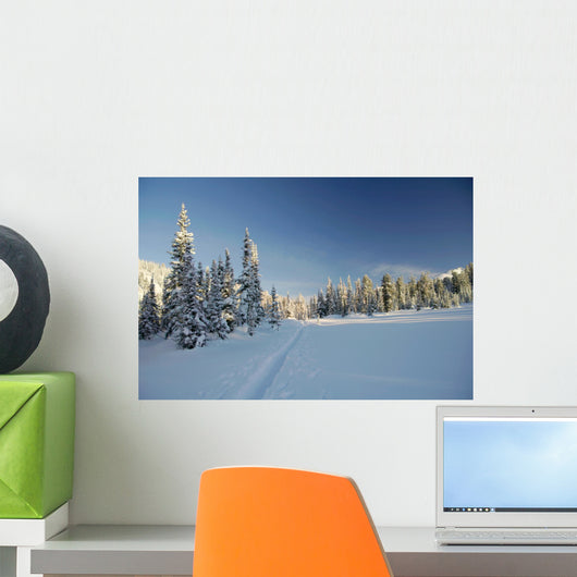 winter forest in mountains, ski-track Wall Mural