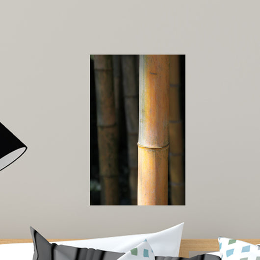 Bamboo Wall Mural