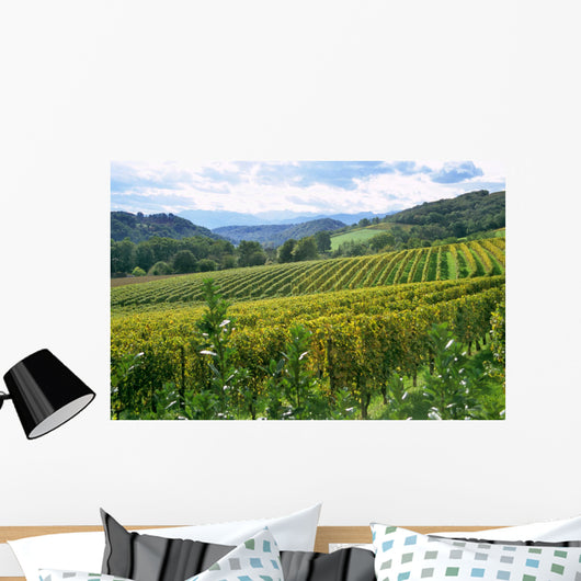 french winery in the pyrenese Wall Mural