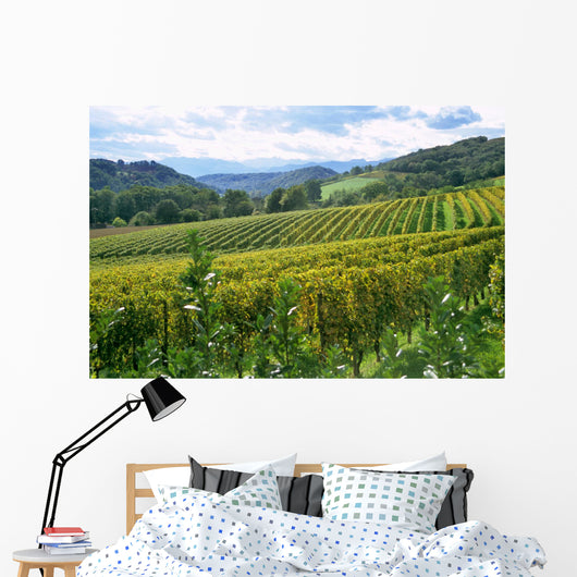 french winery in the pyrenese Wall Mural