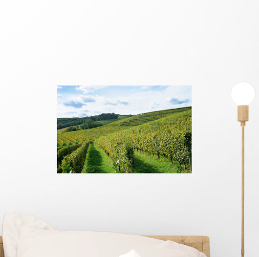 french winery Wall Mural
