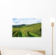 french winery Wall Mural