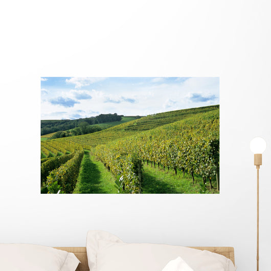french winery Wall Mural