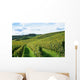 french winery Wall Mural