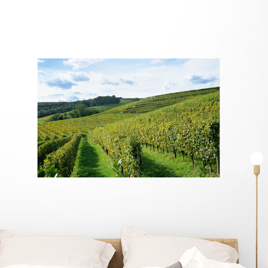french winery Wall Mural