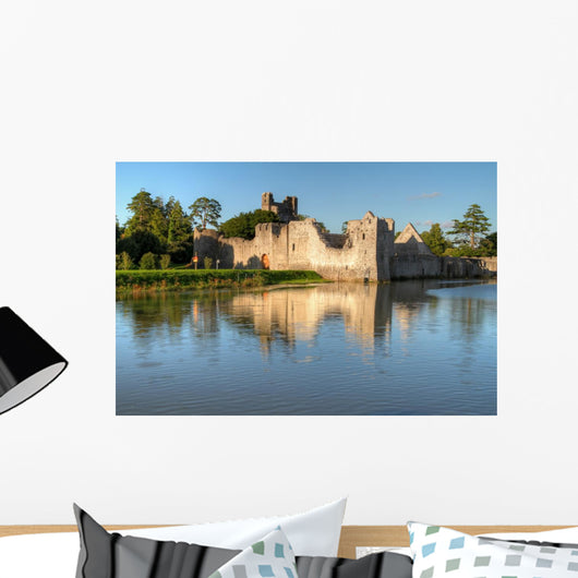 Ruins Castle Adare Ireland Wall Mural