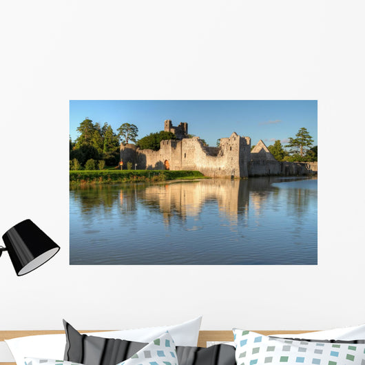 Ruins Castle Adare Ireland Wall Mural