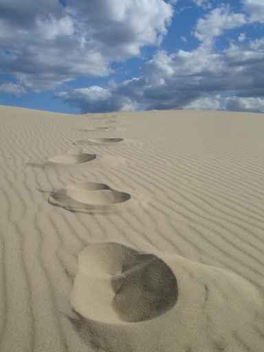 Spuren im Sand Wall Decal