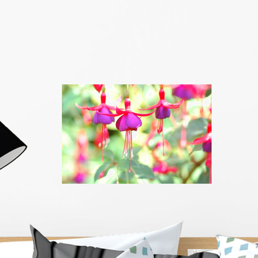 Back to the Fuschia Wall Mural