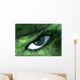 Eye Wall Mural