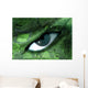Eye Wall Mural
