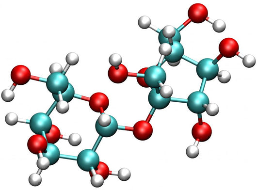 sucrose molecule Wall Decal