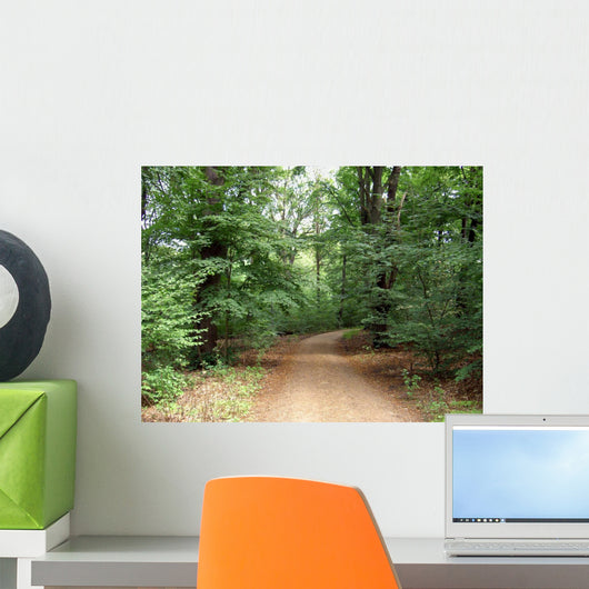 Waldweg Wall Mural