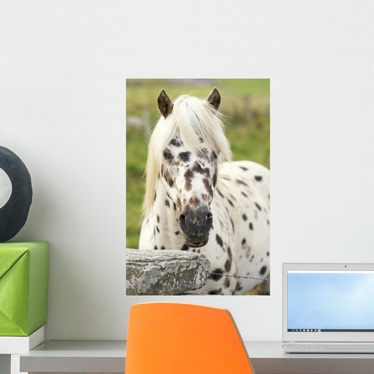 Horse Wall Mural