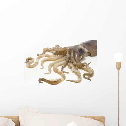 squid Wall Decal