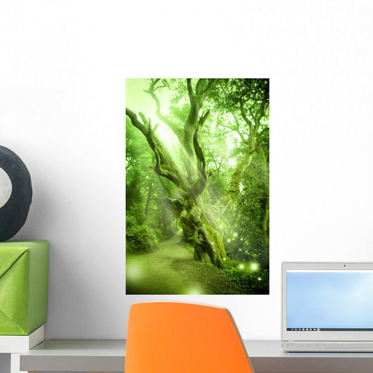 Enchanted Forest