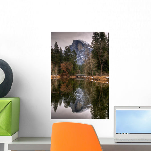 Reflecting Half Dome Wall Mural