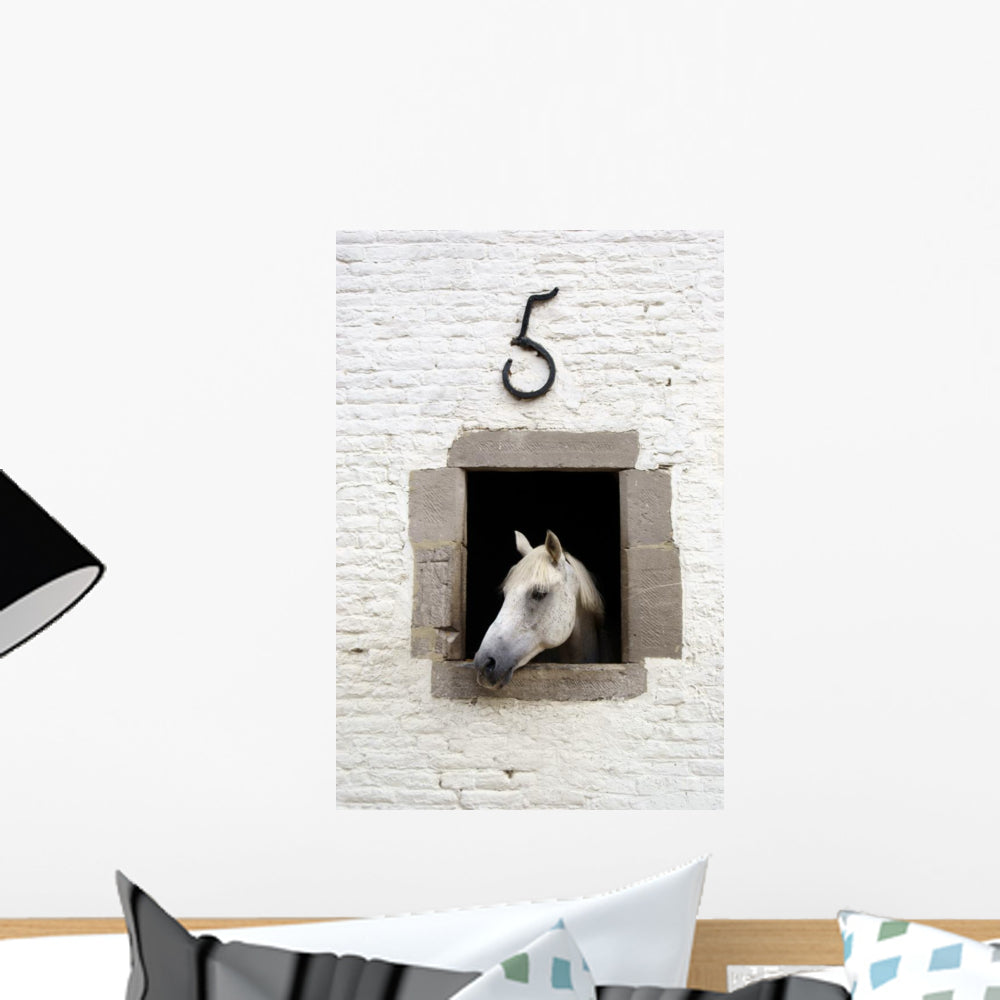 White Horse Wall Mural Wallmonkeys